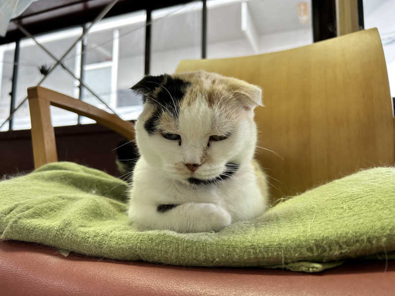 74さんのあったまりランド深堀のサ活写真