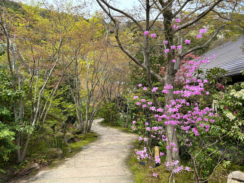 はなまるさんの箱根湯寮のサ活写真