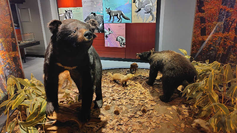 ぺーたさんの打当温泉マタギの湯のサ活写真