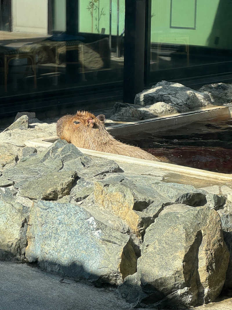 ofurosukiiさんの石狩天然温泉 番屋の湯のサ活写真