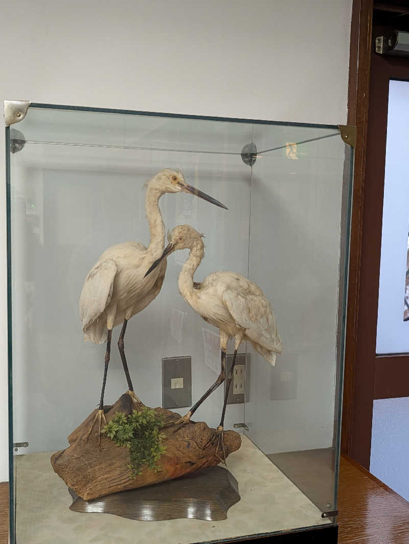 ドナウ川の漣さんのクアガーデン露天風呂のサ活写真