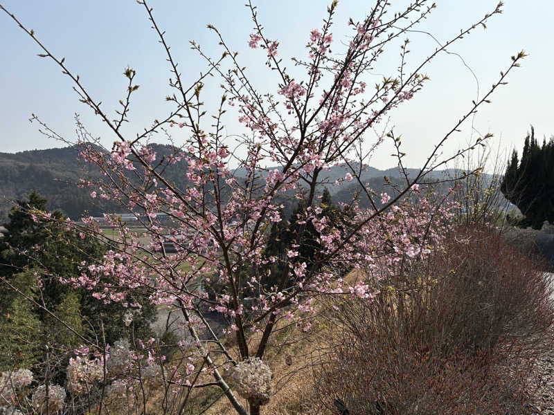 soraとかず3さんの天宿の杜 桂月のサ活写真