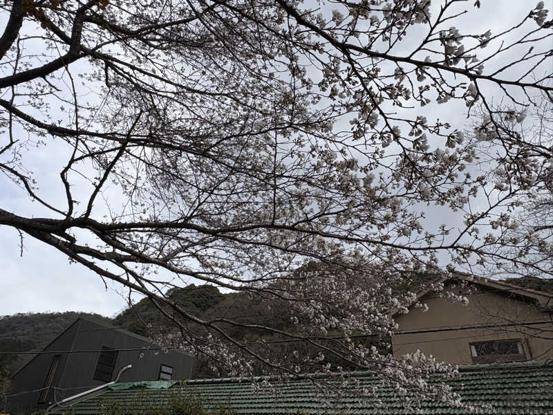 soraとかず3さんの紅花舎 koukashaのサ活写真