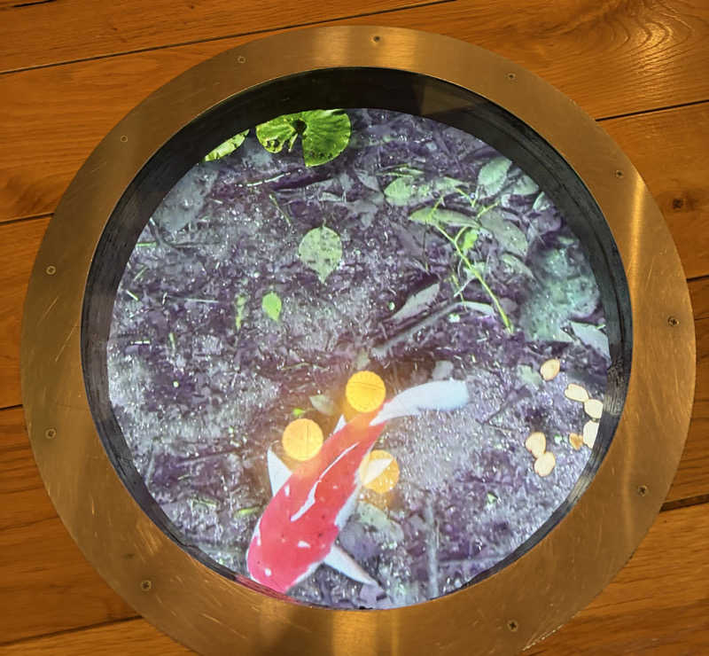 soraとかず3さんのはすぬま温泉のサ活写真