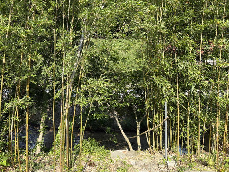 soraとかず3さんの紅花舎 koukashaのサ活写真