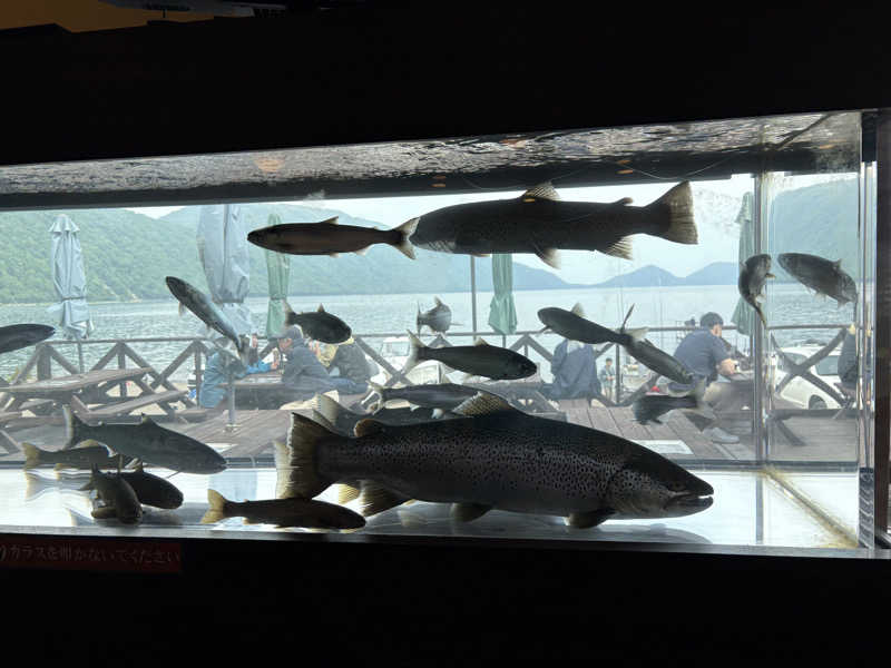 soraとかず3さんの奥札幌の秘湯 湖畔の宿支笏湖 丸駒温泉旅館のサ活写真