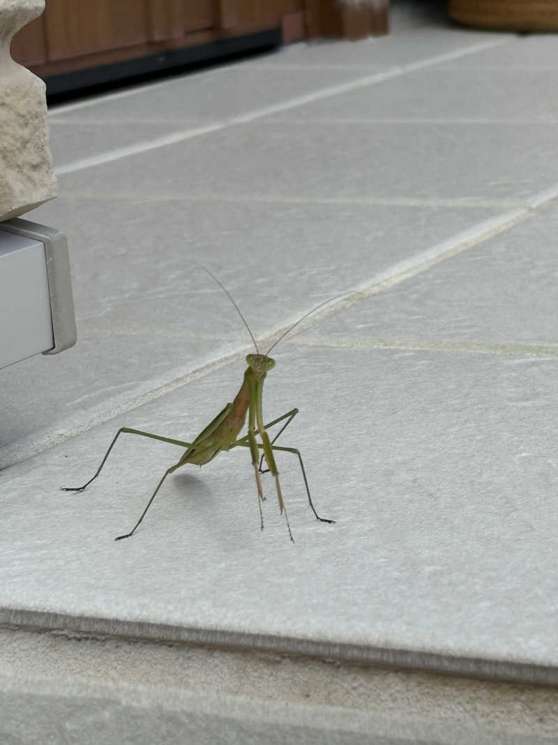 soraとかず3さんの37BASEのサ活写真