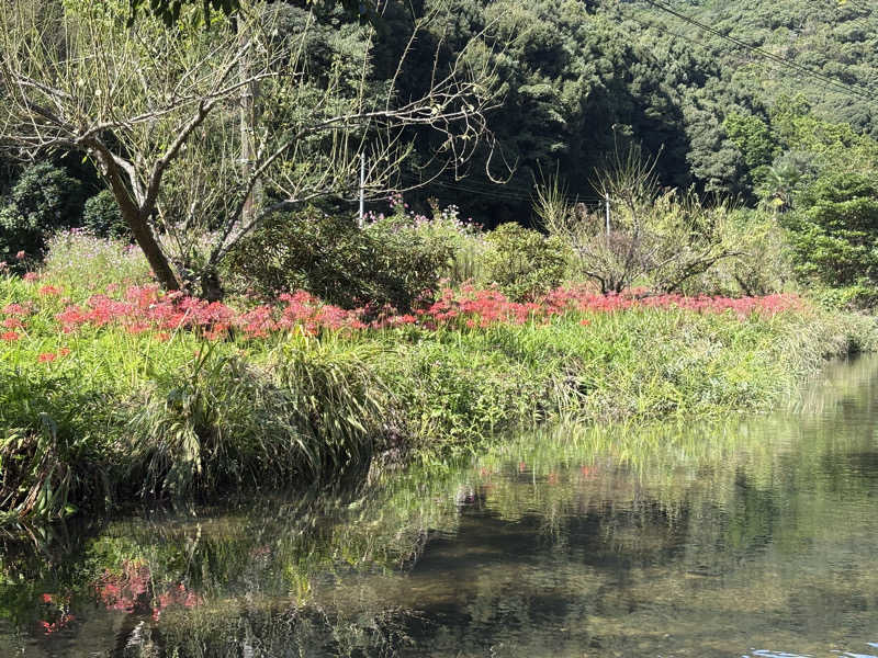 soraとかず3さんの紅花舎 koukashaのサ活写真