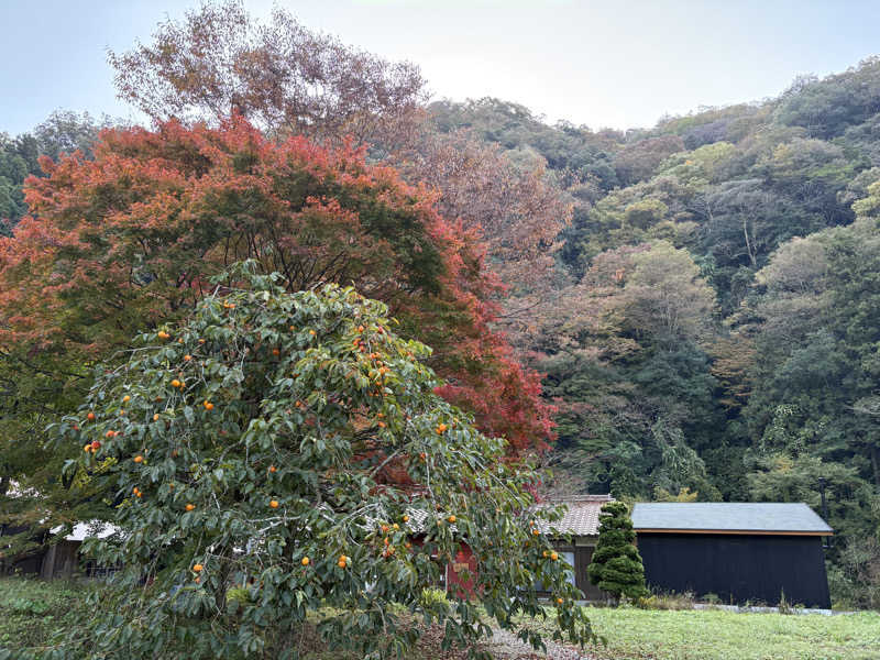 soraとかず3さんのVIEHÄttÄVÄ ヴィエハッタヴァのサ活写真