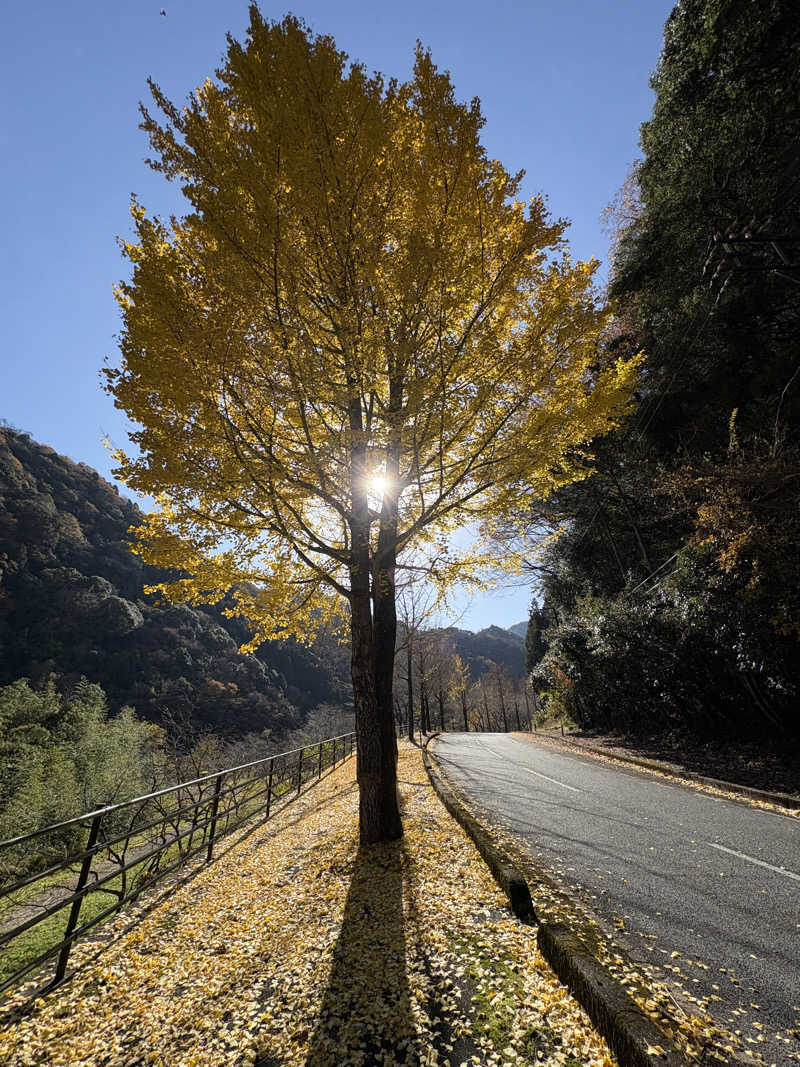 soraとかず3さんのVIEHÄttÄVÄ ヴィエハッタヴァのサ活写真