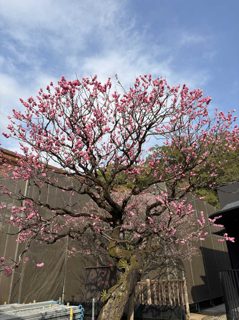 soraとかず3さんの筑紫野 天拝の郷のサ活写真