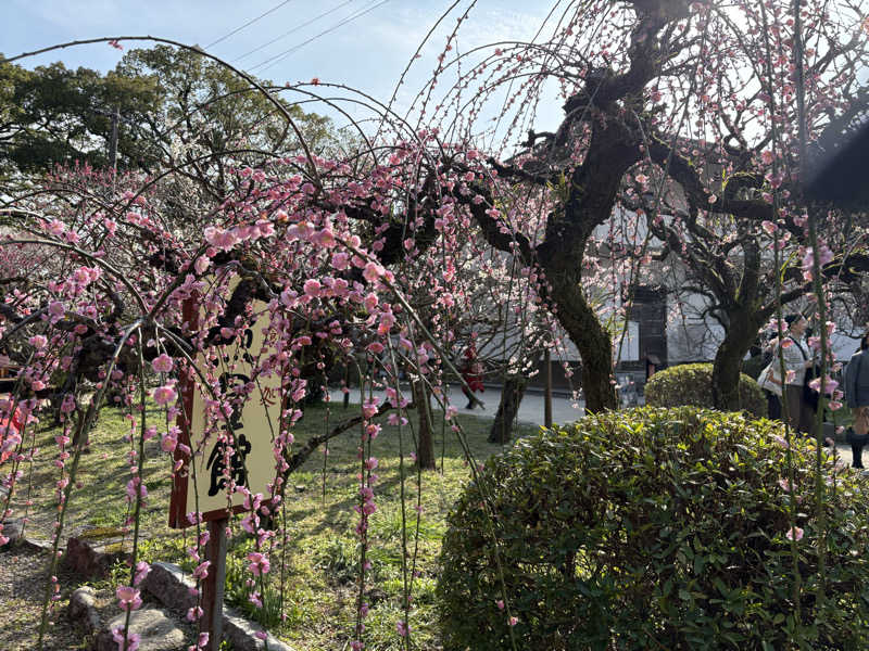 soraとかず3さんの筑紫野 天拝の郷のサ活写真
