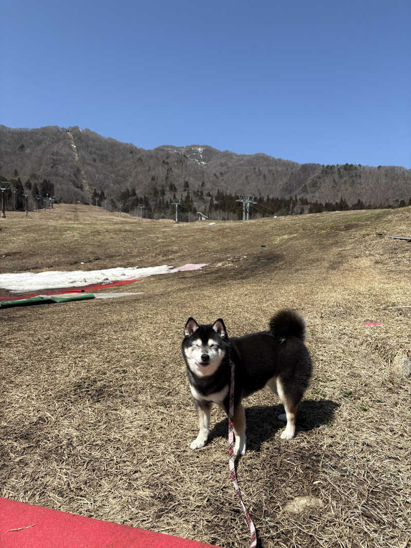 soraとかず3さんの流葉温泉 ニュートリノのサ活写真