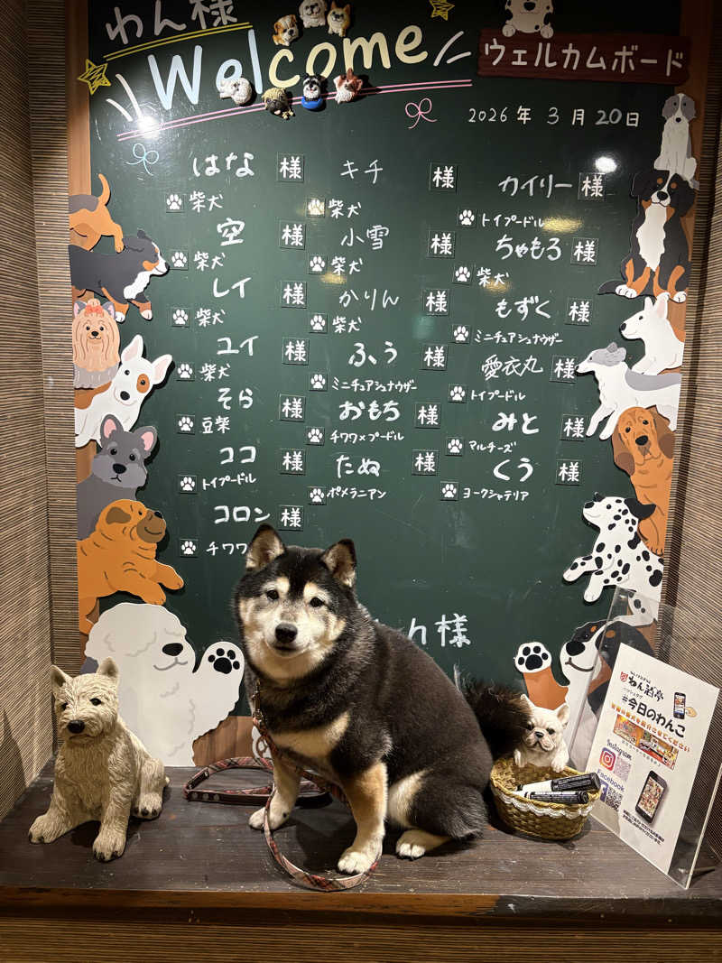 soraとかず3さんの流葉温泉 ニュートリノのサ活写真