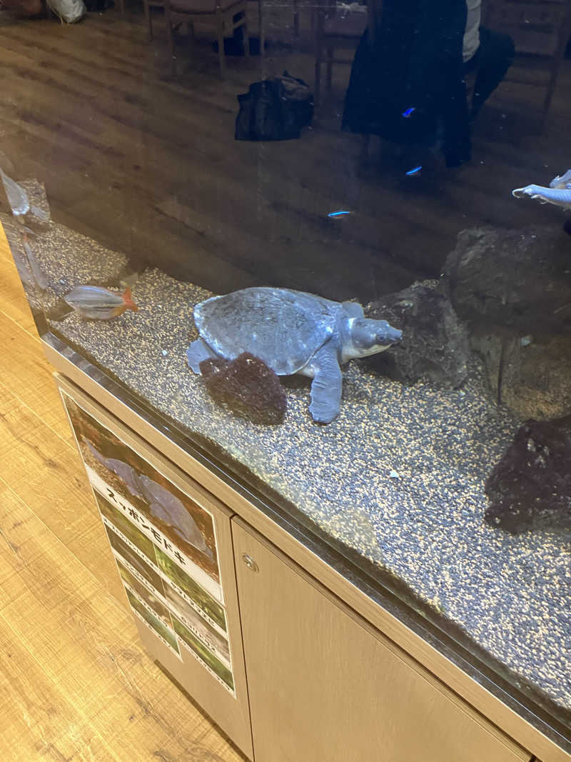 赤目さんの竹取温泉 灯りの湯のサ活写真