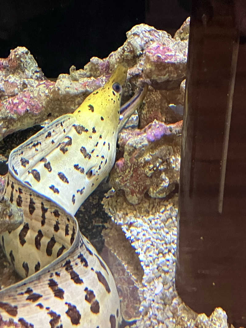 赤目さんの竹取温泉 灯りの湯のサ活写真