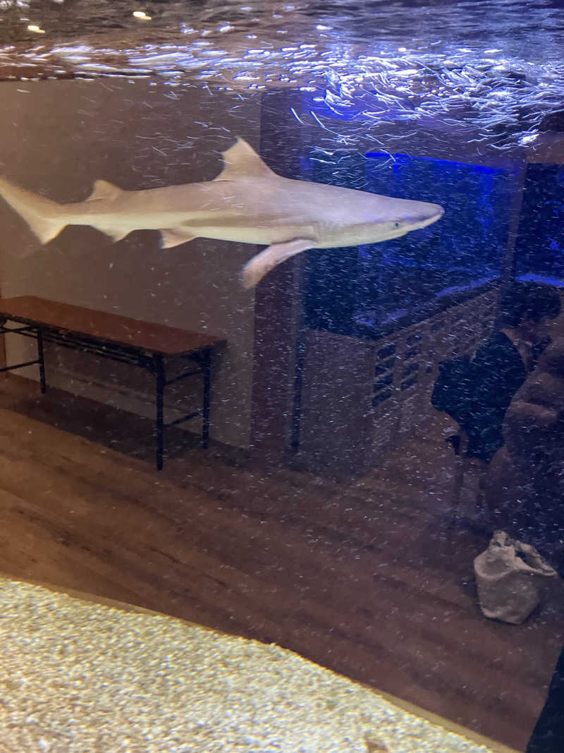 赤目さんの竹取温泉 灯りの湯のサ活写真