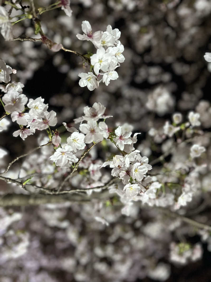 ヘカブさんの天然温泉 香南楽湯のサ活写真