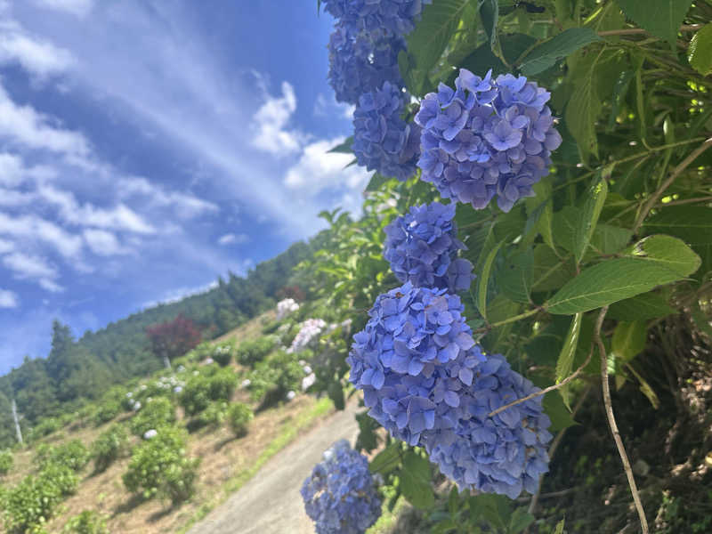 ヘカブさんの霧の森 交湯〜館のサ活写真