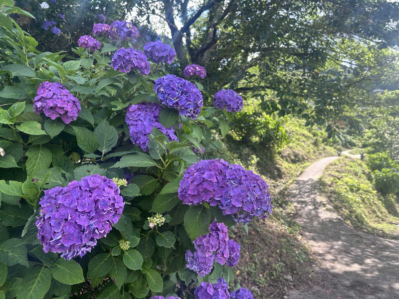 ヘカブさんの霧の森 交湯〜館のサ活写真