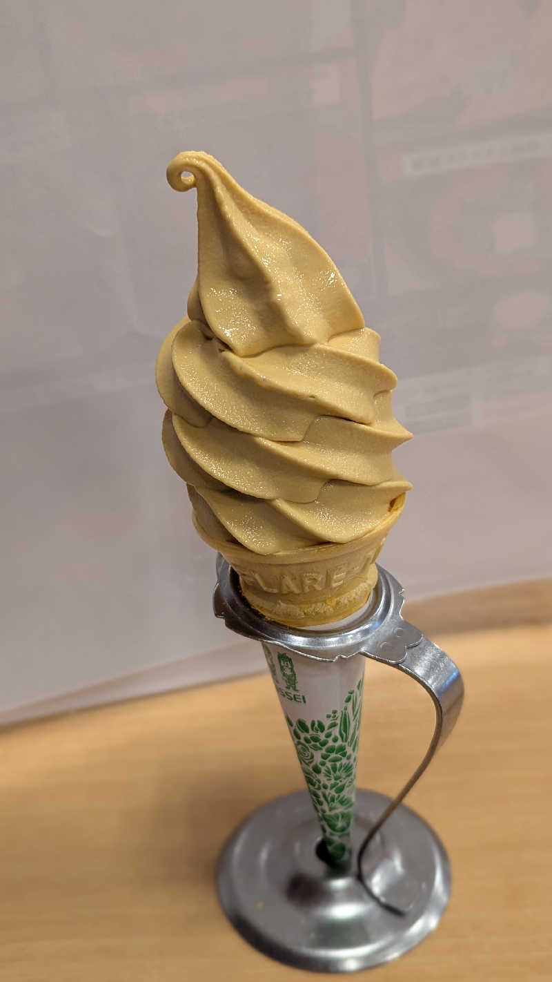 まっきぃさんの湯乃泉 草加健康センターのサ活写真