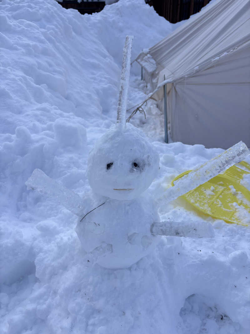 わかわかわかちこさんのアソビーバ ナガノパークのサ活写真