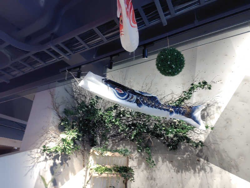 あつーさんのおふろcafé ハレニワの湯のサ活写真