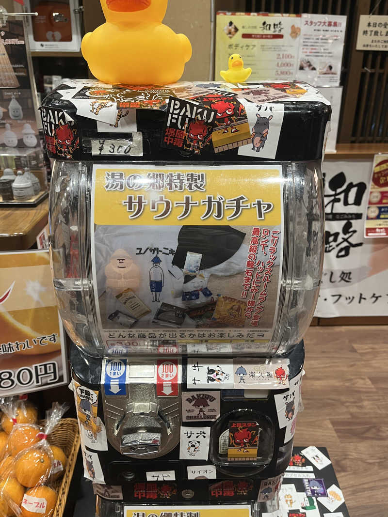 ヒンナヒンナさんの野天風呂 湯の郷のサ活写真