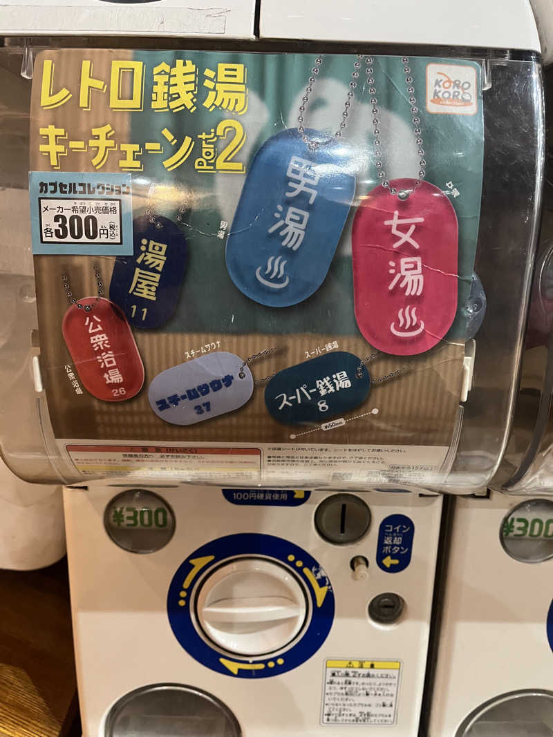 ヒンナヒンナさんの越谷健美の湯のサ活写真