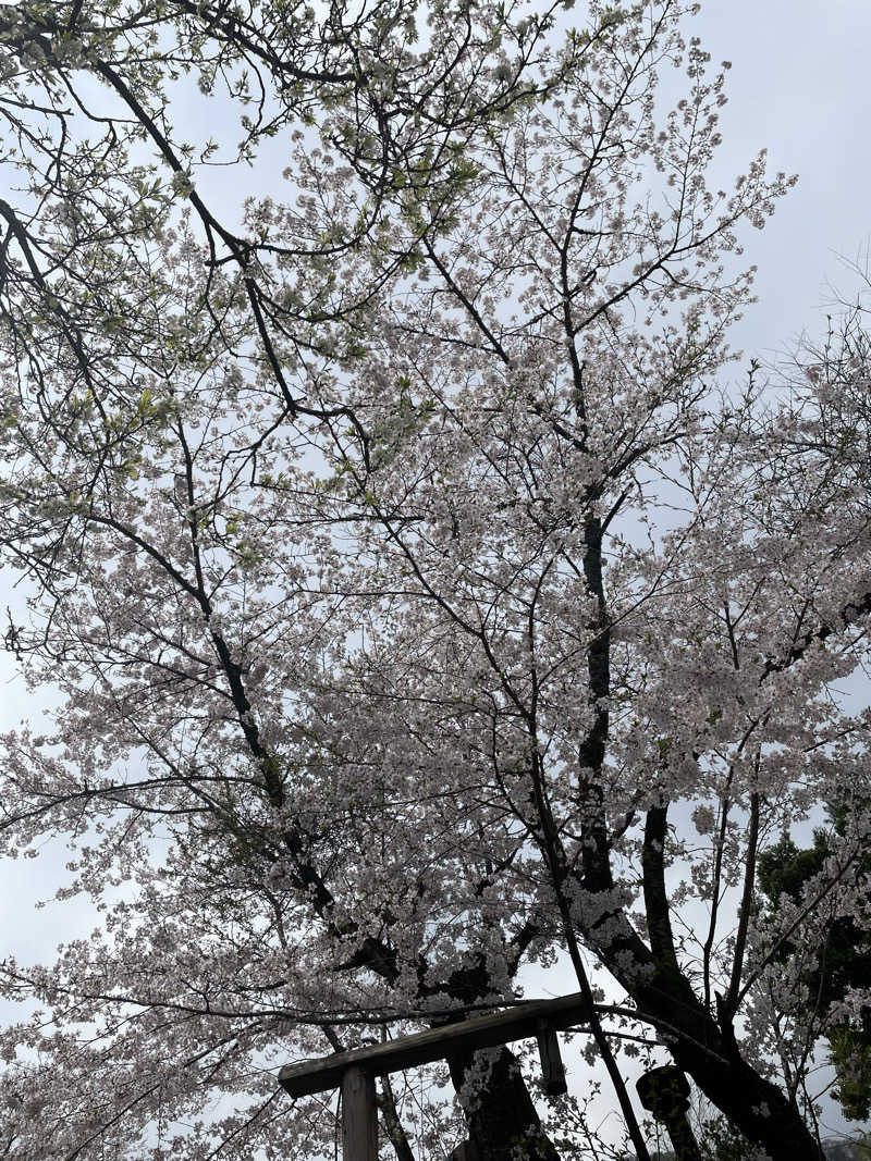 サウナくんさんのSauna kota LEPOのサ活写真