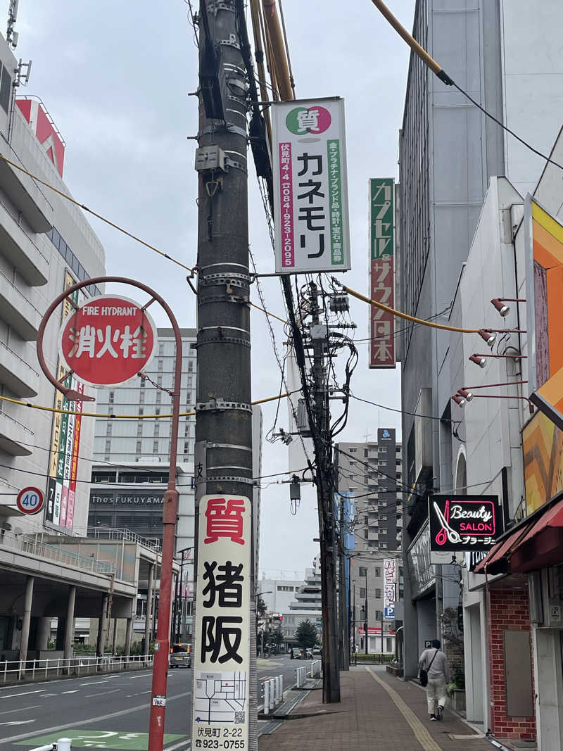 ぐみちゃんさんのカプセル&サウナ日本のサ活写真