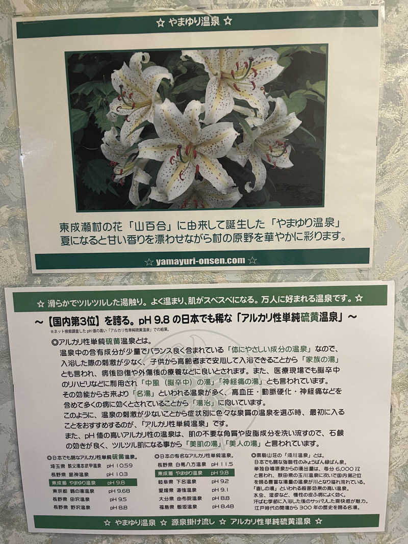 ぐみちゃんさんのやまゆり温泉ホテルブランのサ活写真