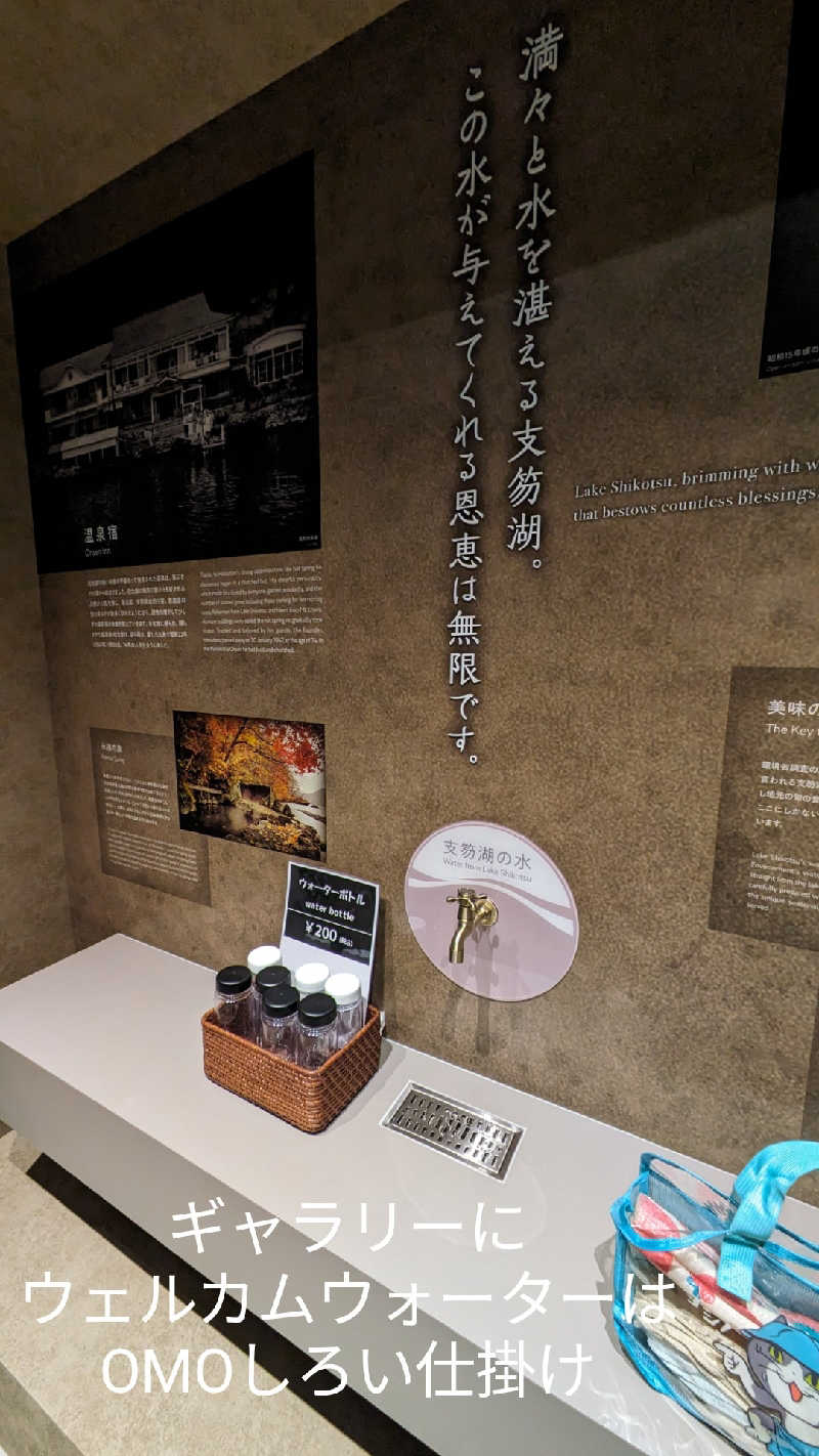 半額王子さんの湖畔の宿支笏湖 丸駒温泉旅館のサ活写真