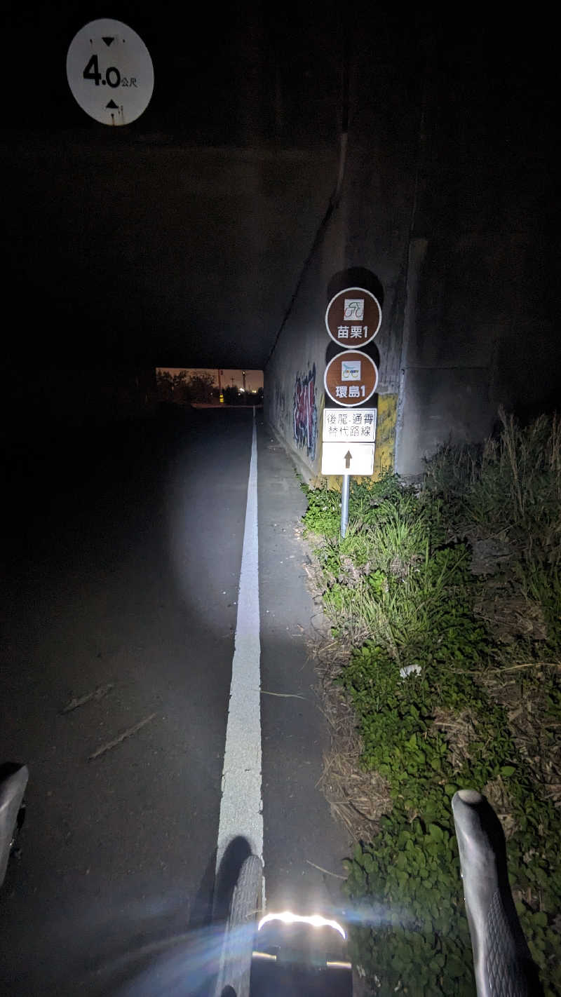 半額王子さんの青葉東京男士三温暖のサ活写真