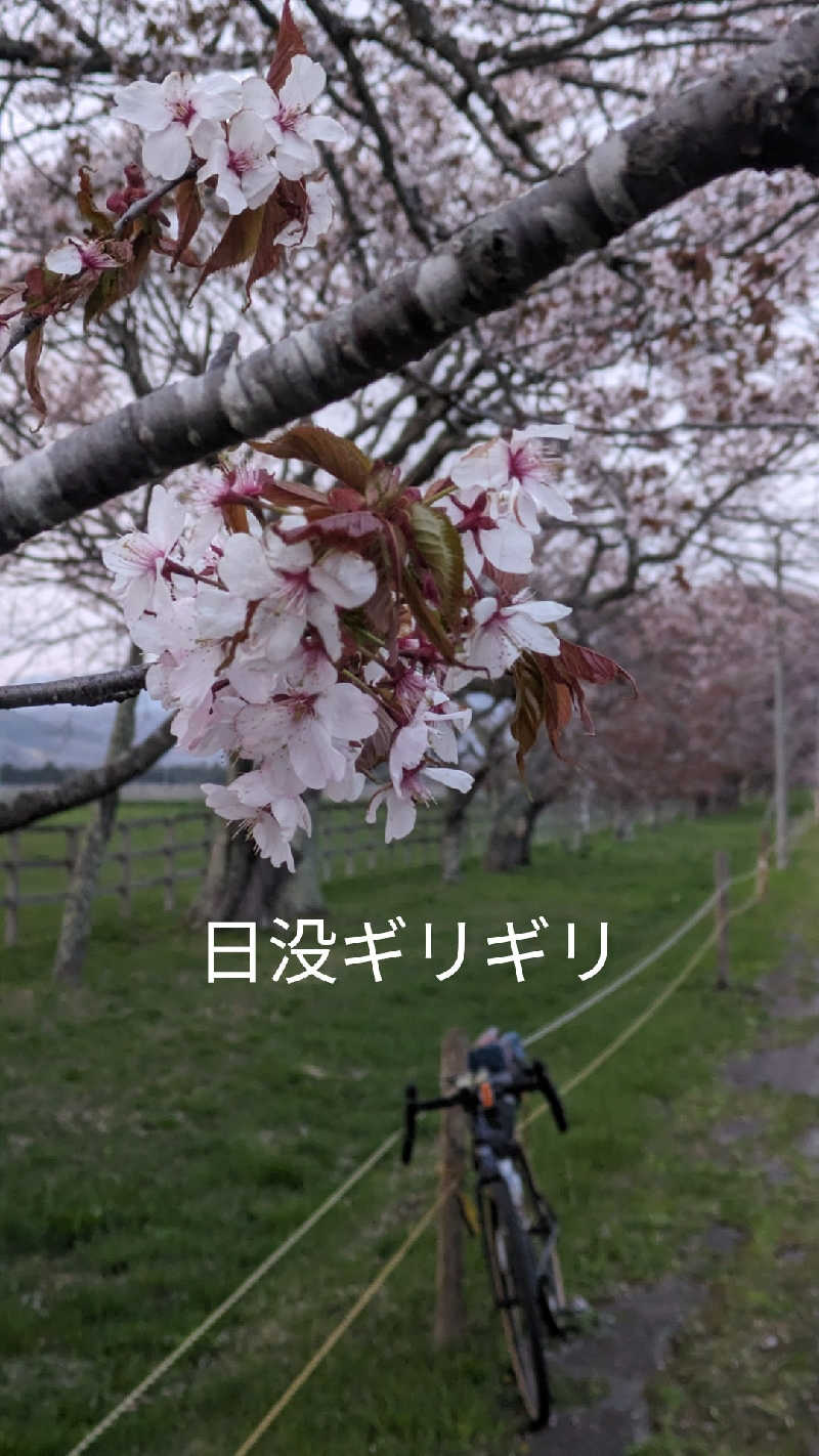 半額王子さんの静内温泉のサ活写真