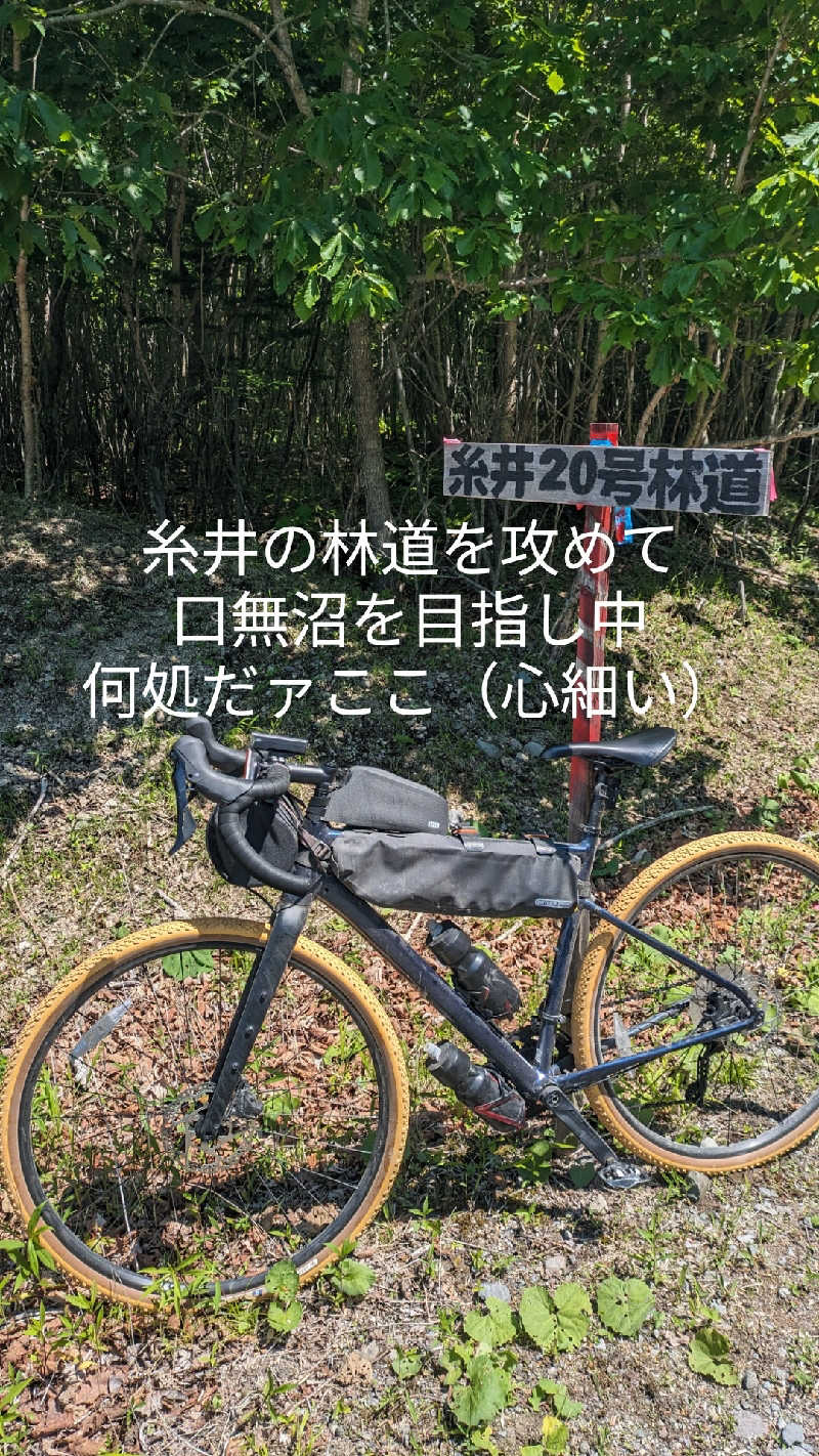 半額王子さんのオートリゾート 苫小牧アルテン ゆのみの湯のサ活写真