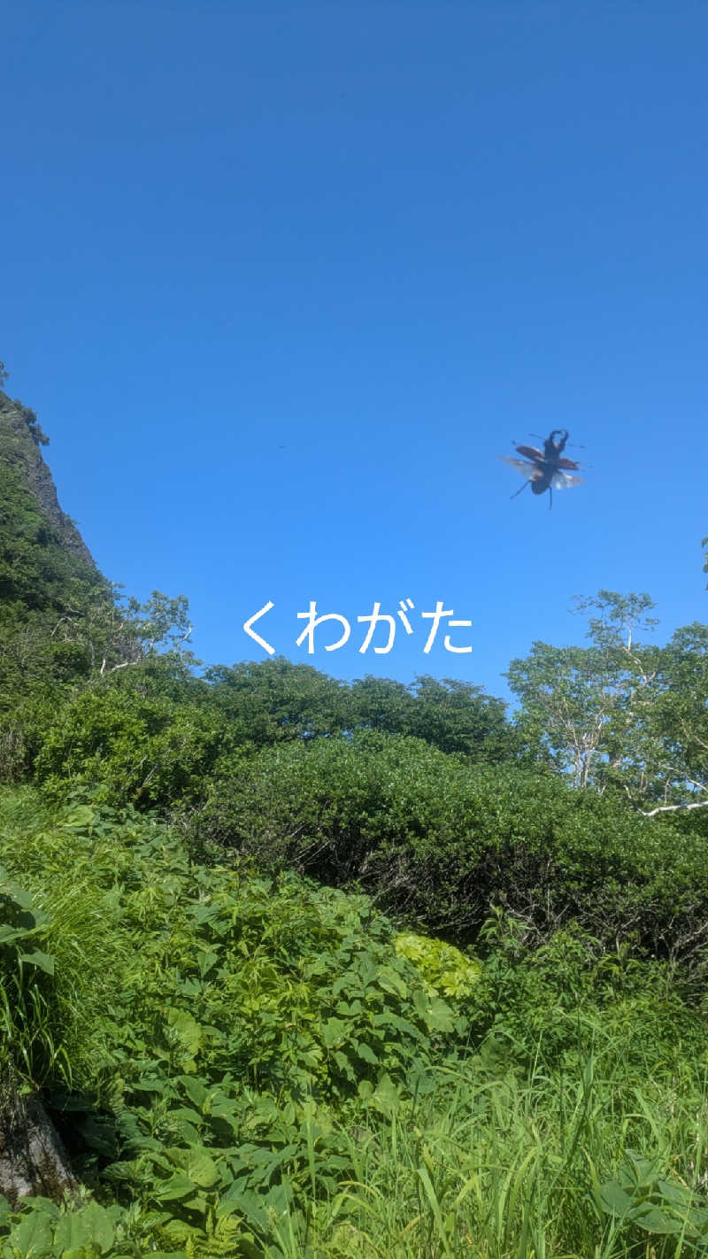 半額王子さんのニコーリフレ SAPPOROのサ活写真