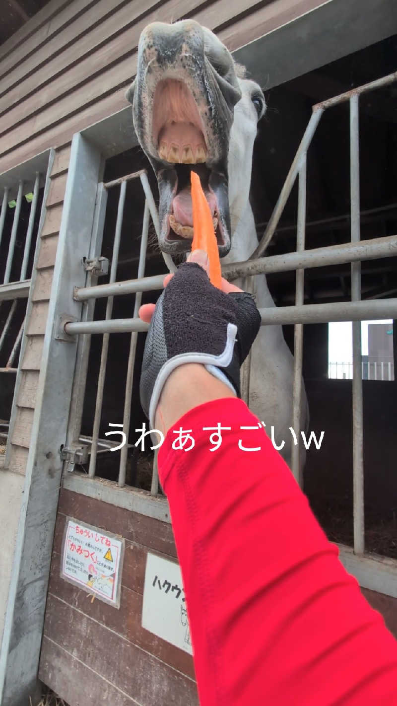 半額王子さんの天然温泉 ホテル光南のサ活写真