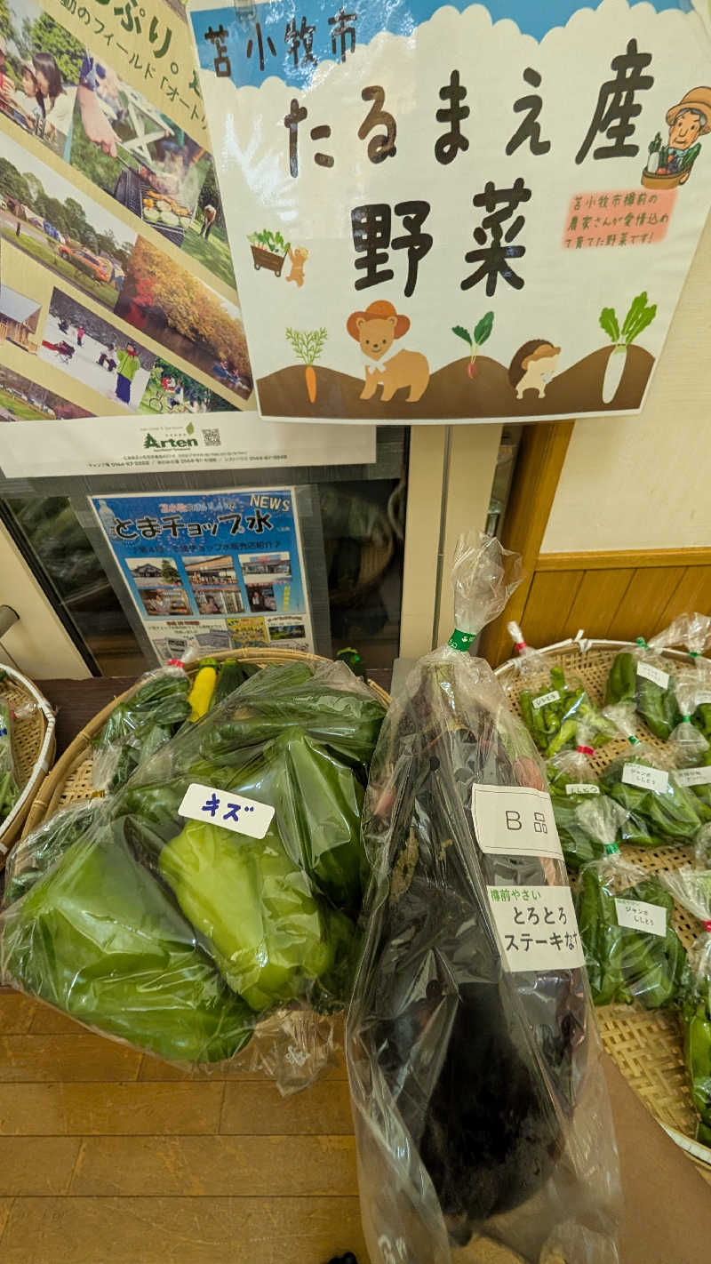 半額王子さんのオートリゾート 苫小牧アルテン ゆのみの湯のサ活写真