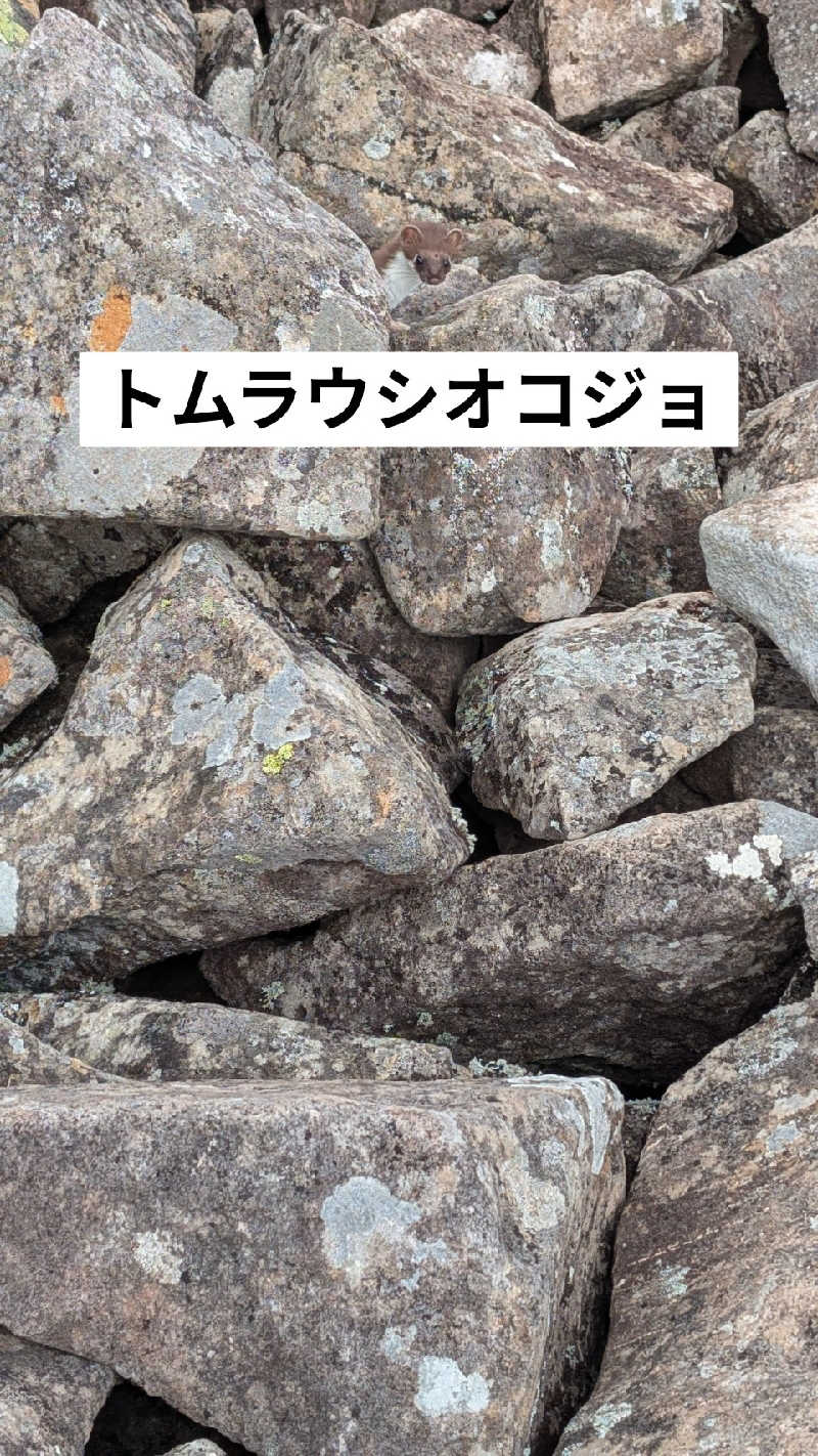半額王子さんのトムラウシ温泉 東大雪荘のサ活写真