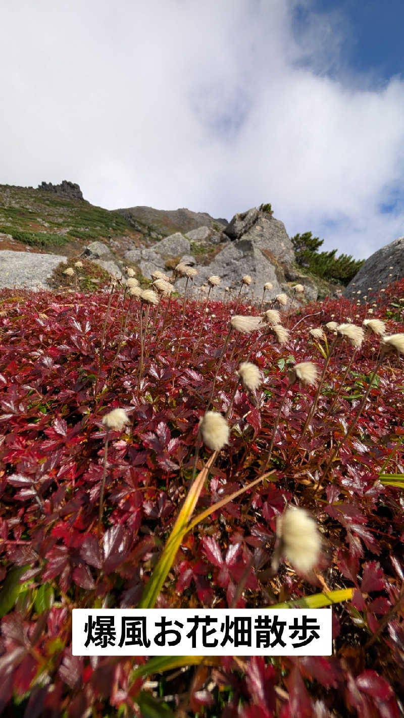 半額王子さんのトムラウシ温泉 東大雪荘のサ活写真