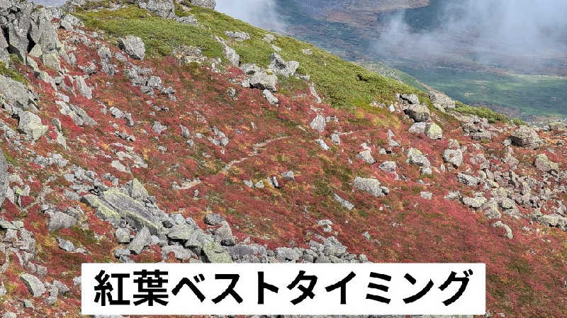 半額王子さんのトムラウシ温泉 東大雪荘のサ活写真