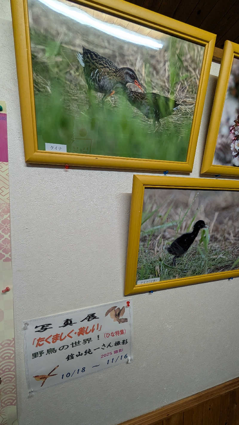 半額王子さんの公園湯のサ活写真