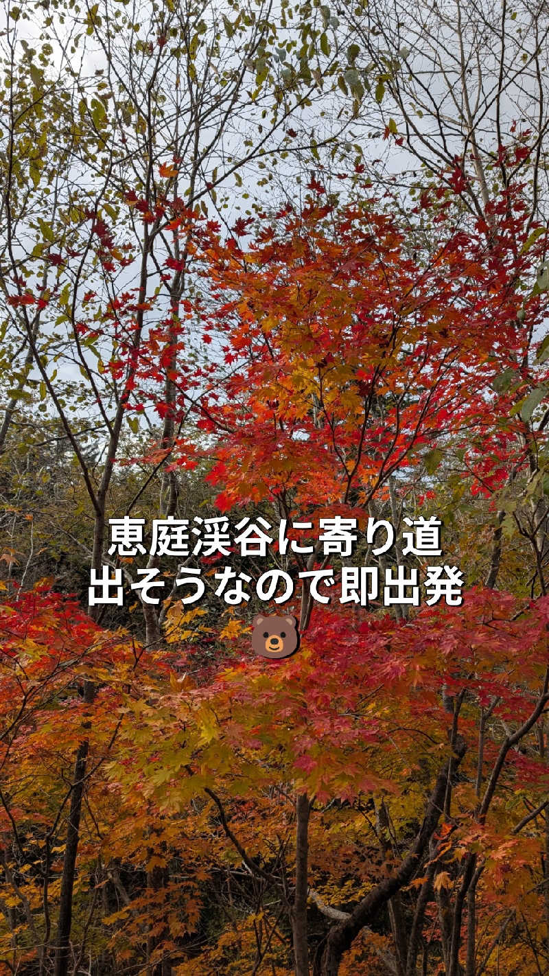 半額王子さんのニコーリフレ SAPPOROのサ活写真