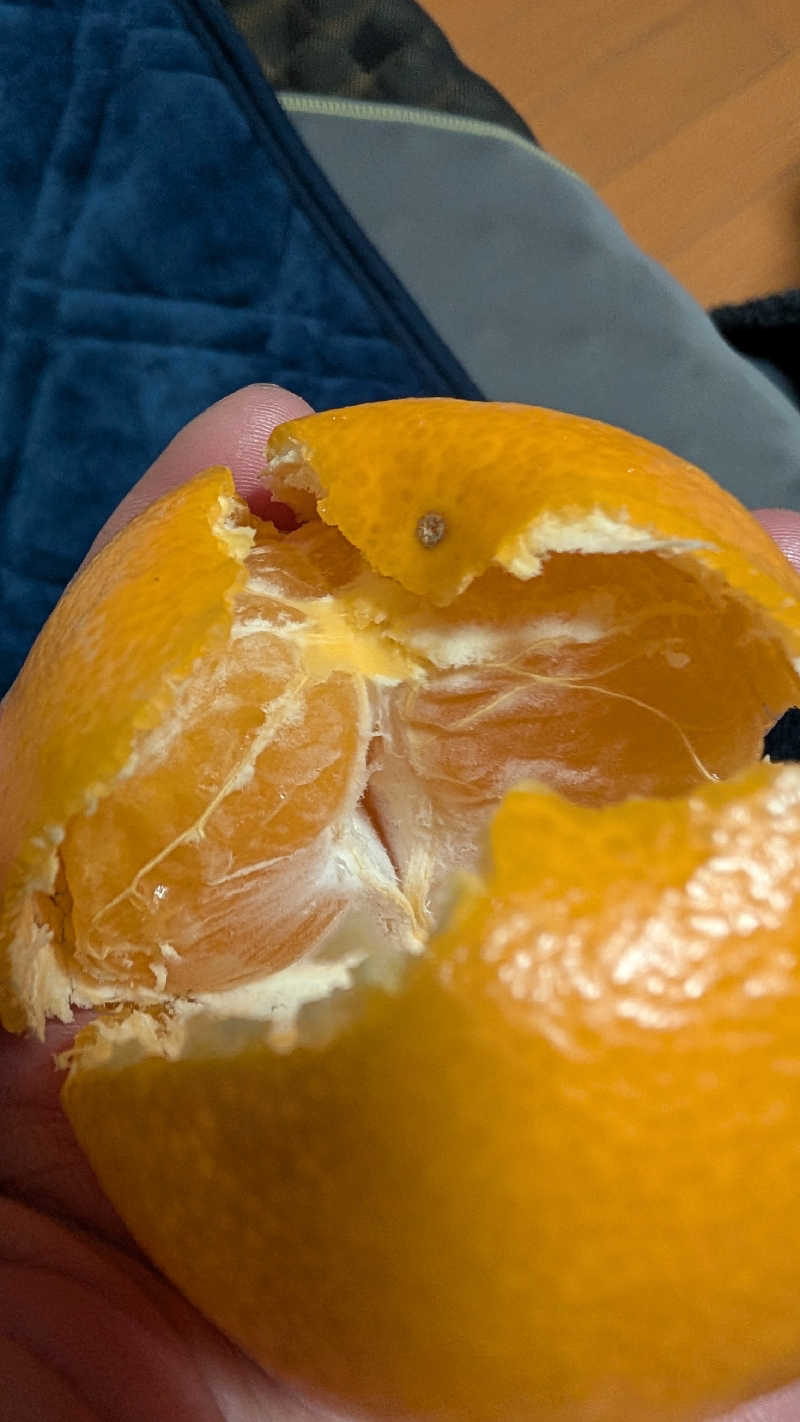 半額王子さんの公園湯のサ活写真