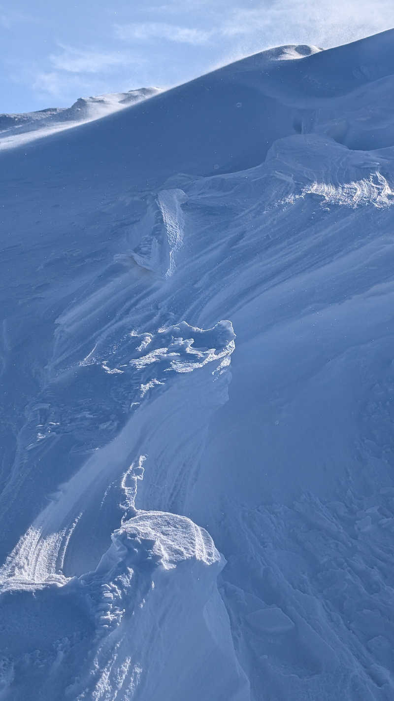 半額王子さんの十勝岳温泉 凌雲閣のサ活写真