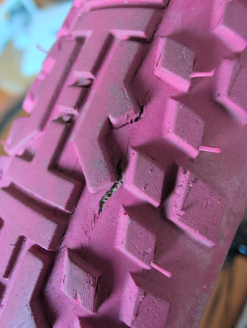 半額王子さんの公園湯のサ活写真