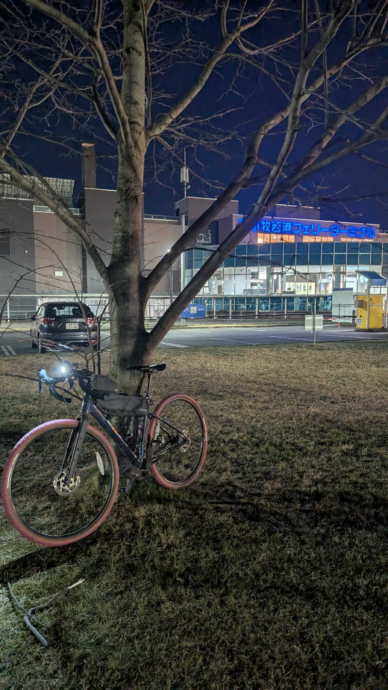 半額王子さんの公園湯のサ活写真