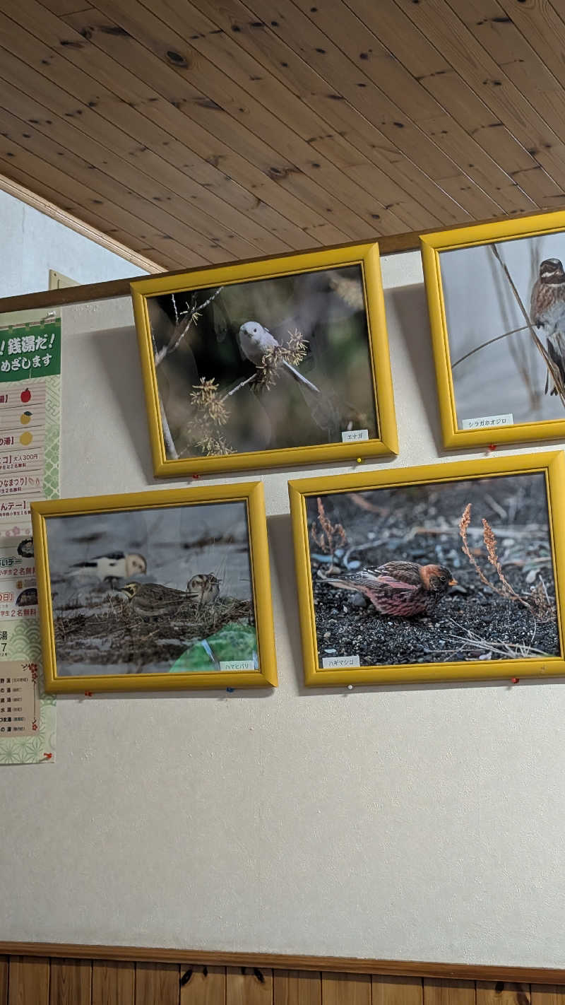 半額王子さんの公園湯のサ活写真