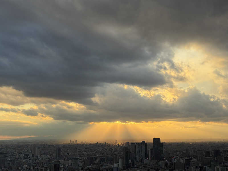 ひみつちゃんさんのザ・リッツ・カールトン スパ 東京のサ活写真